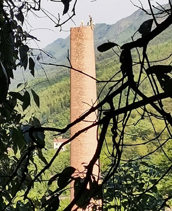 1735611008271444.jpg 3719c4b23d61b869da09bfa6483bd50.jpg