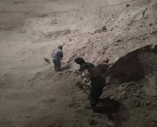 1744720464440989.jpg 5db699fbf2192.jpg